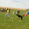 20120922_1824217386_img_7741