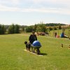 20120922_1952654136_img_7943