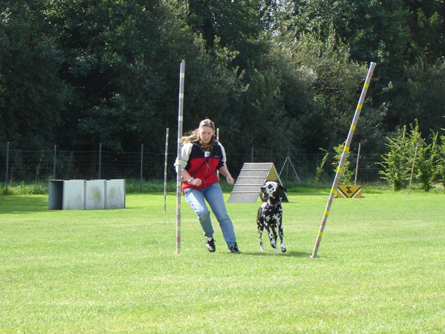 20080824_1470639913_slalom059