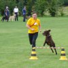 20080824_1556538692_3-sprung048