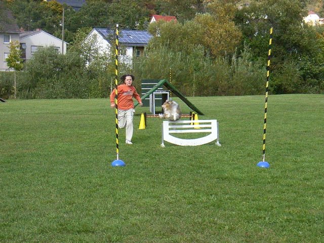 20081109_1390022279_rimg0495-klein