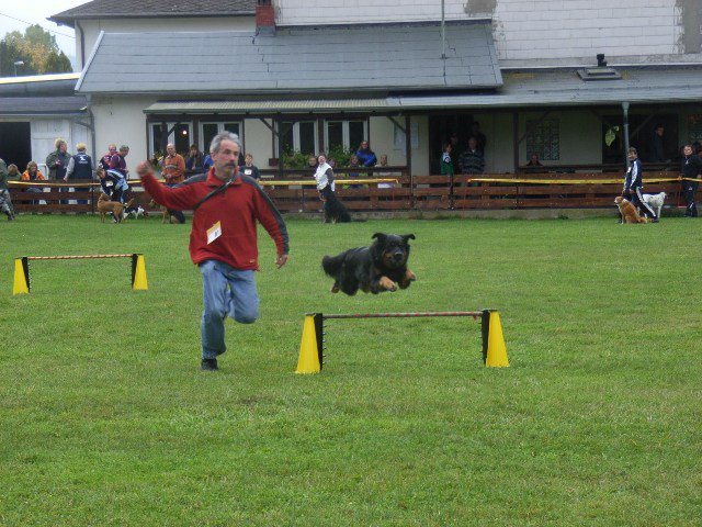 20081109_1484158348_rimg0190-klein