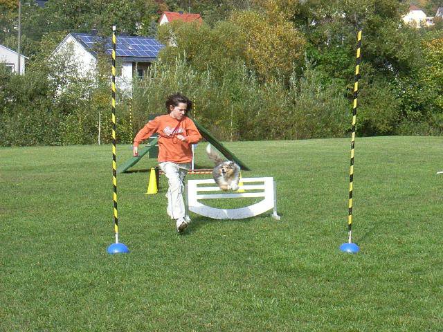 20081109_1658077645_rimg0447-klein