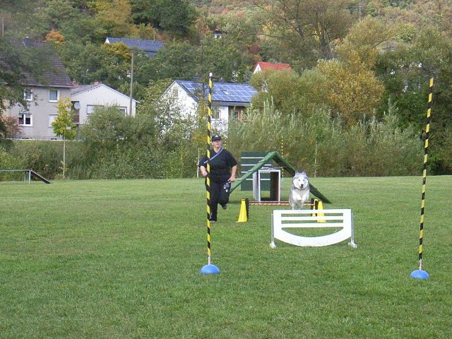 20081109_1778153553_rimg0480-klein