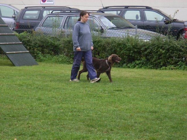 20081109_2046471608_rimg0099-klein