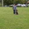 20081109_1880252228_rimg0104-klein