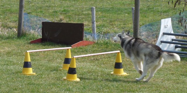 20090412_1054516709_sally2