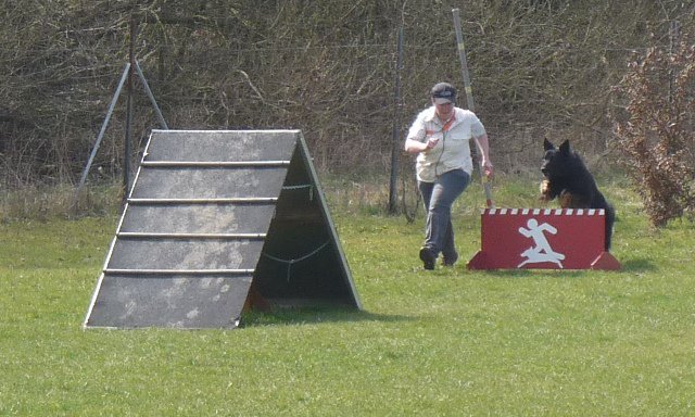 20090412_1259415368_alina