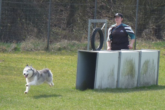 20090412_1354613195_sally