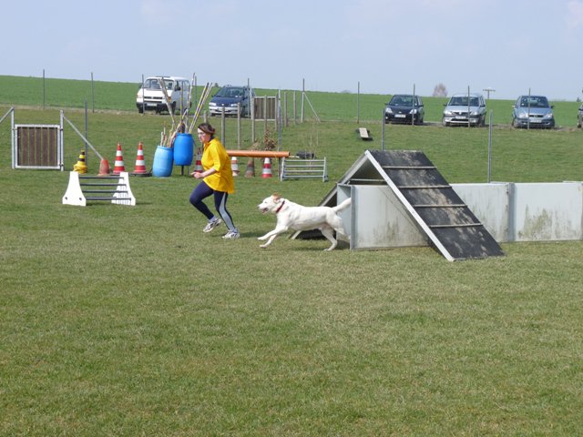 20090412_1453599108_shorty15