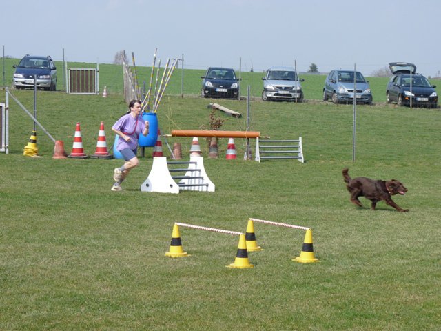 20090412_1467386192_shorty8