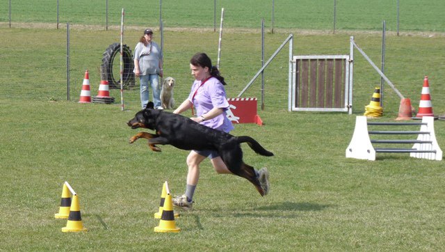 20090412_1473918164_shorty11