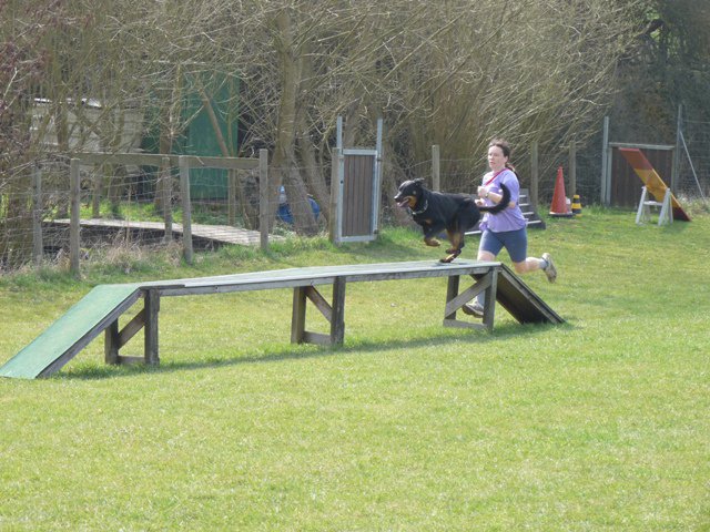 20090412_1650384055_berryl3