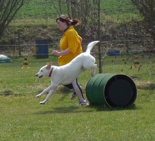 20090412_1829879070_paul