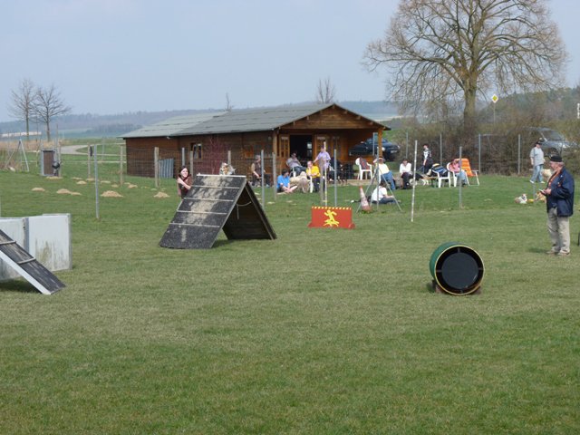 20090412_1893007424_shorty1