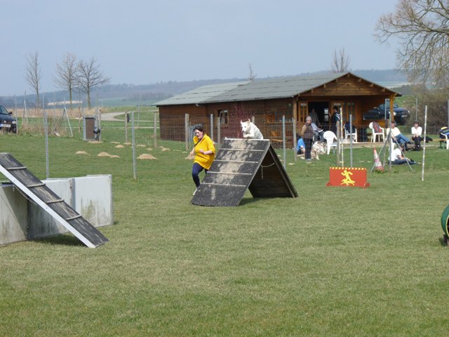 20090412_1909214187_shorty7