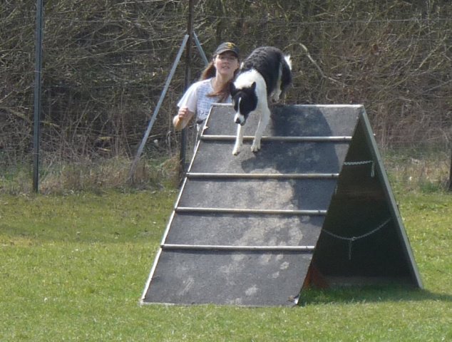 20090412_1978377547_nahla2