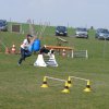 20090412_1139605478_shorty9