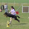 20090412_1473918164_shorty11