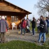 20090412_1581512261_zuschauer