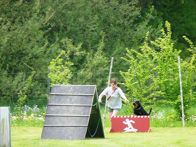 20090513_1416325446_km2009_515