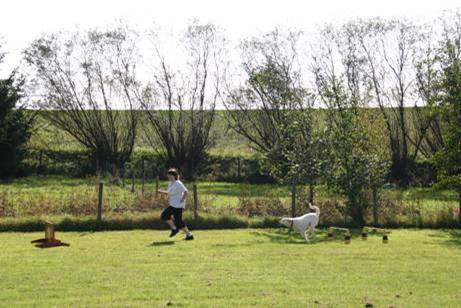 20111017_1033652554_bild29