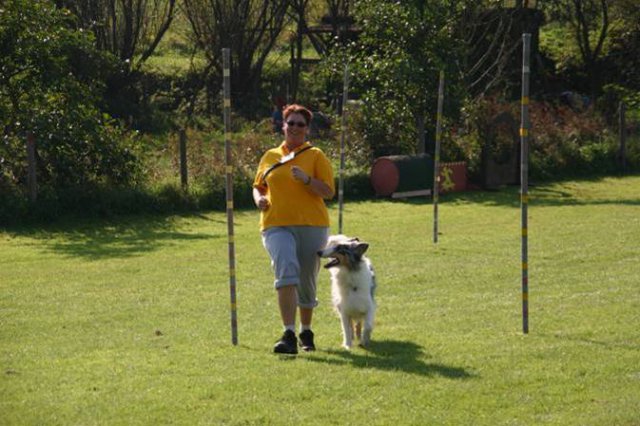 20111017_1618547431_bild8