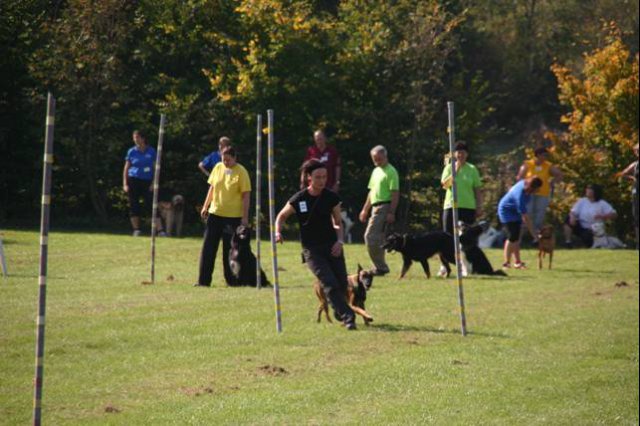20111017_1966416333_bild16