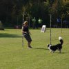 20111017_1317719306_bild9