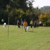 20111017_1801297546_bild7