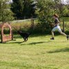 20111017_2051801765_bild39