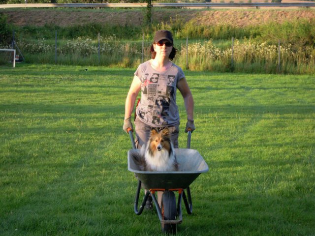 20120901_1012321623_dscn0265