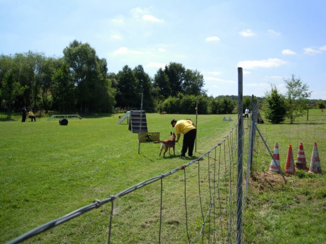 20120901_1024485301_dscn0293