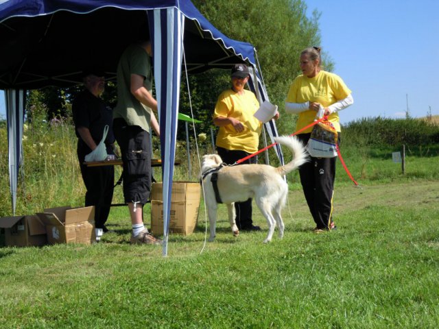 20120901_1052184341_dscn0343
