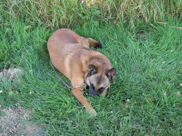 20120901_1054591463_dscn0355