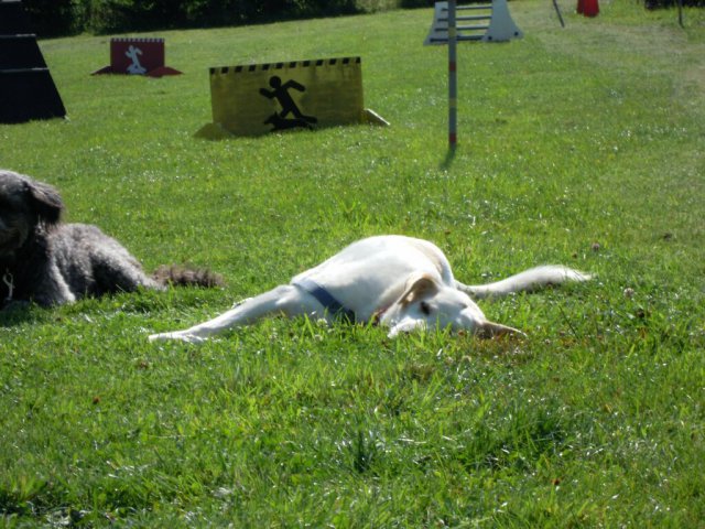 20120901_1095221917_dscn0341