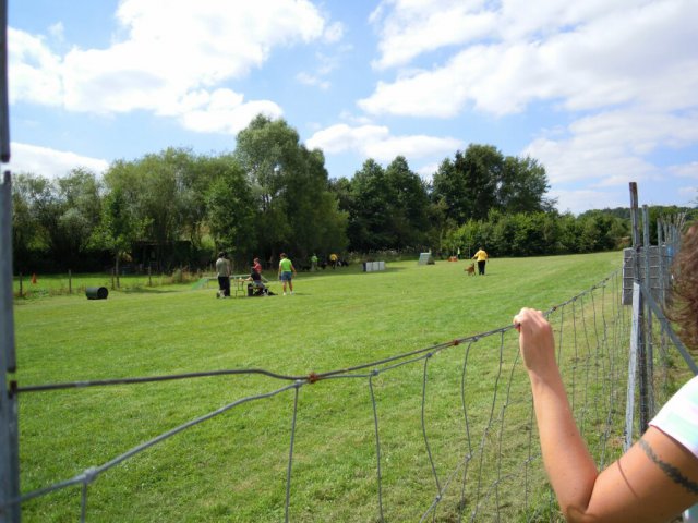 20120901_1213824363_dscn0271