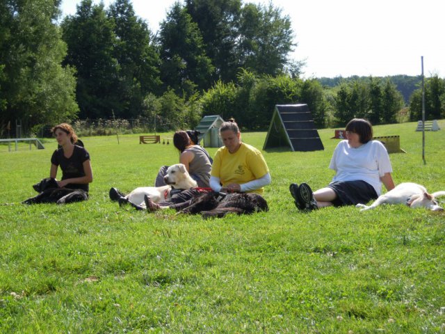 20120901_1359295607_dscn0326