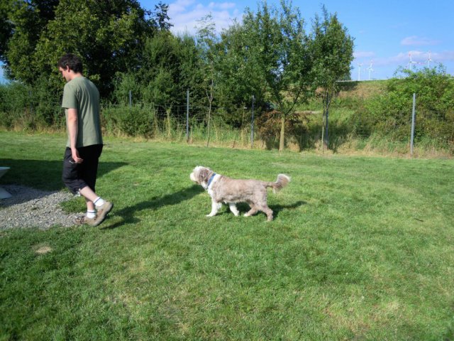 20120901_1510076581_dscn0379