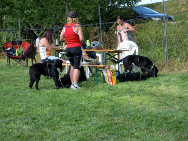20120901_1553071928_dscn0373