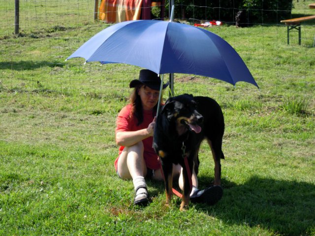 20120901_1889922831_dscn0316