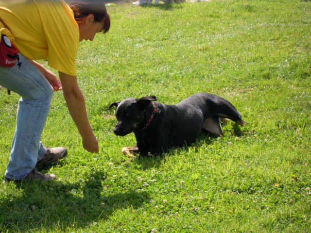 20120901_2059618846_dscn0395