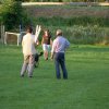 20120901_1020696443_dscn0268