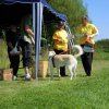 20120901_1052184341_dscn0343