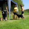 20120901_1107357024_dscn0330