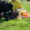 20120901_1350858415_dscn0351