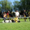 20120901_1474252282_dscn0366