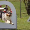20150507_1609020170_k-img_4027