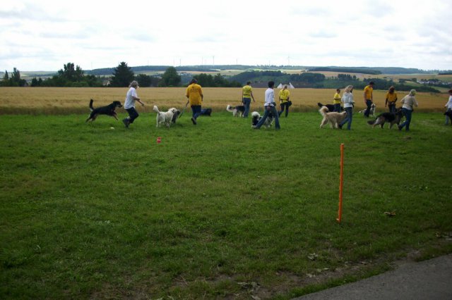 20120814_1528692402_dsci0393