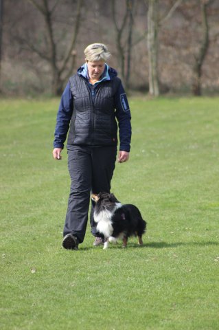 Begleithundeprüfung 08.04.2017